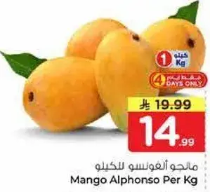 مانجو الفونسو للكيلو