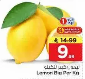 ليمون كبير للكيلو