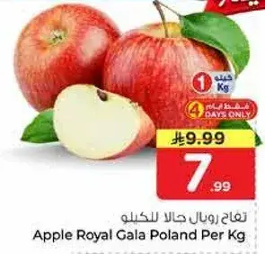 تفاح رويال جالا للكغ