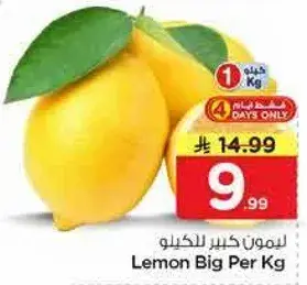 ليمون كبير للكغ