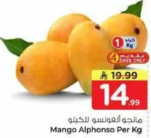 مانجو الفونسو للكغ