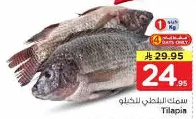 سمك السلطنه للكيلو