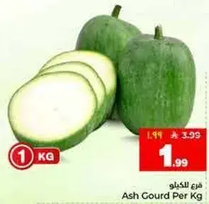قرع اس بالكيلو