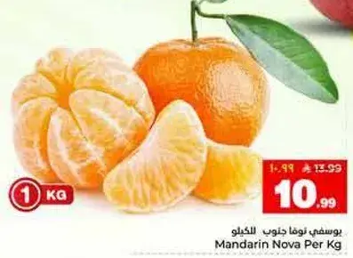 يوسفي نوفا جنوب الكيلو