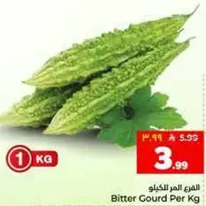 البطيخ المر للكغ