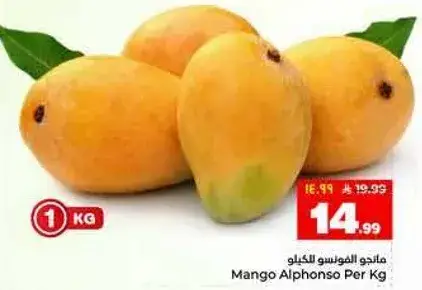مانجو الفونسو للكغ