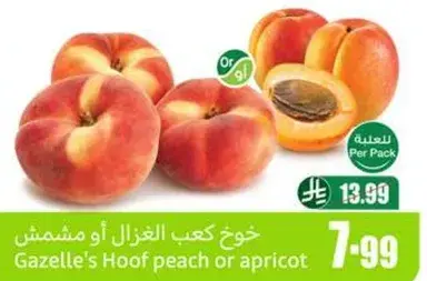 خوخ كعب الغزال او مشمش