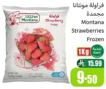 فراوله مونتانا مجمده