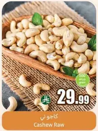 كاجو ني