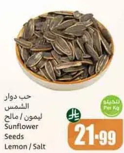 حب دوار الشمس ليمون / مالح