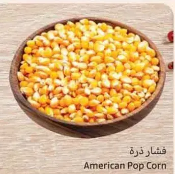 فشار ذره