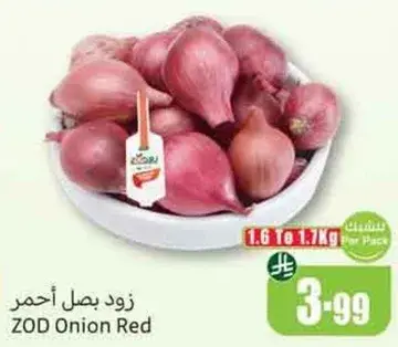 زود بصل احمر