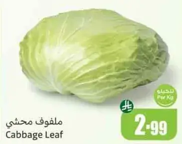 ملفوف محشي.