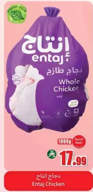 دجاج انتاج طازج