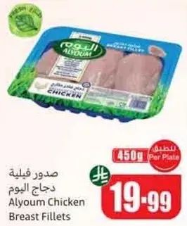صدور دجاج اليوم