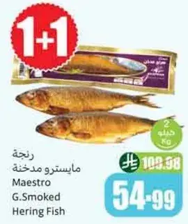 مايسترو سمك هيرين المدخن