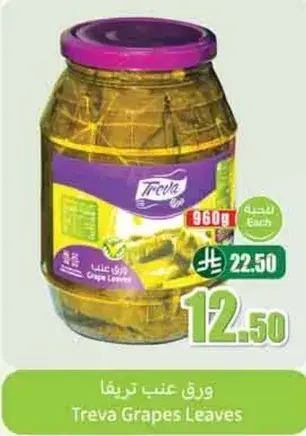 ورق عنب تريفا