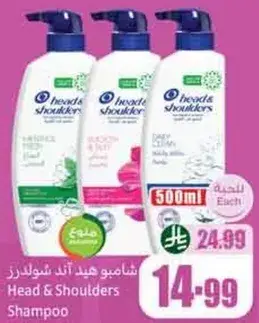 شامبو هيد اند شولدرز