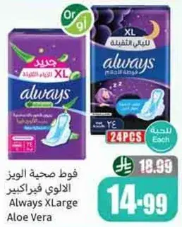 فوط الويز الالوي فيرا