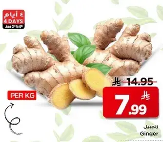 زنجبيل