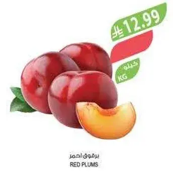 برقوق احمر