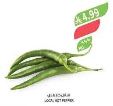 فلفل حار بلدي