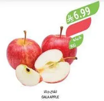 تفاح جالا