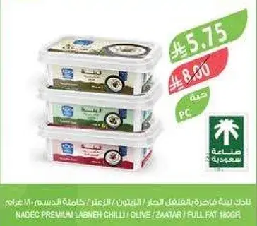 نادك لبنه مميزه حاره / زيتون / زعتر 180 جرام