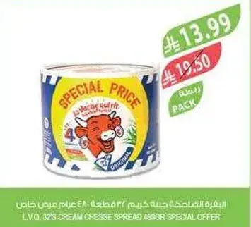 ل.ف.ك. 32 قطعه جبنه كريميه 486 جرام