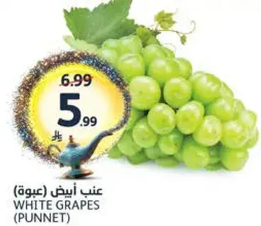 عنب ابيض