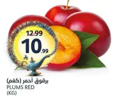 برقوق احمر (كغم)