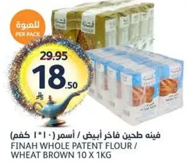 Finah Whole Patent Flour Wheat Brown 10 x 1kg