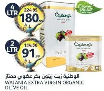 زيت زيتون بكر عضوي ممتاز (4 لتر)