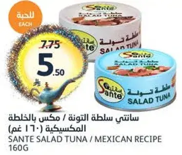 سانتي سلطه التونه 160 غم