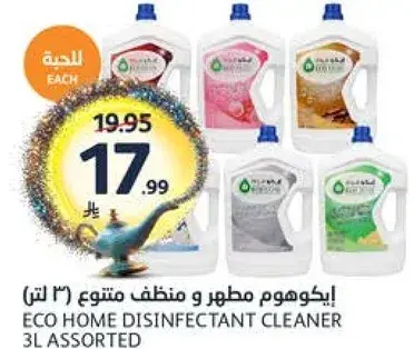ايكو هوم مطهر و منظف متنوع (3 لتر)