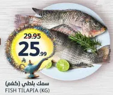 سمك بلطي (كغم)