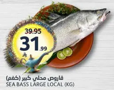 قاروص محلي كبير (كغم)
