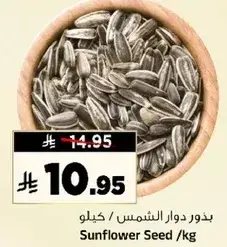 بذور دوار الشمس / كيلو
