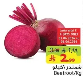 شمندر