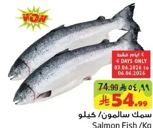 سمك سالمون / كيلو