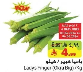 باميا كبير كيلو