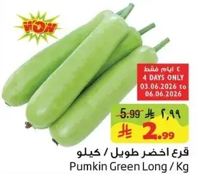 قرع اخضر طويل