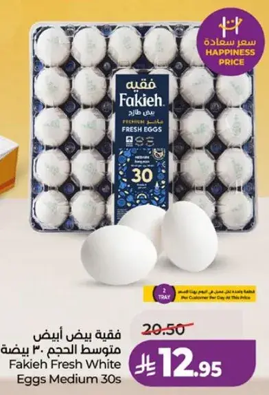 فقيه بيض ابيض متوسط الحجم ٣٠ بيضه