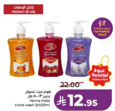 هوم ميت غسول يدين 3×500 مل