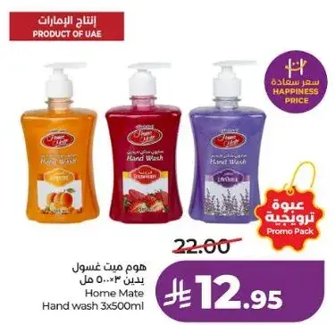 هوم ميت غسول يدين 3x500 مل