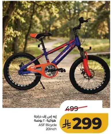 ASF Bicycle 20 Inch