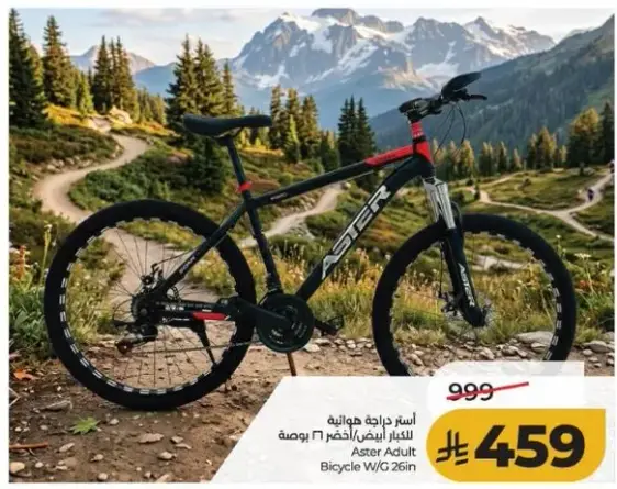 Aster Adult Bicycle 26 Inch