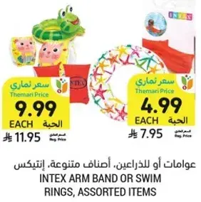 Intex arm band or swim rings, assorted items.