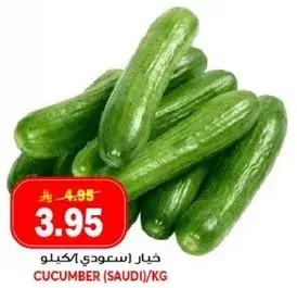 خيار سعودي/الكيلو