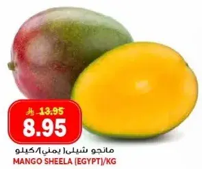 مانجو شيله (مصر)/كيلو